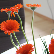 Kleineweidenmühle.de